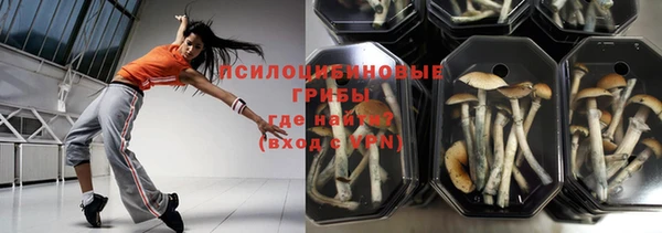 хмурый Богородицк