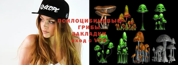 мет Богданович