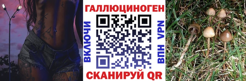 Галлюциногенные грибы GOLDEN TEACHER  купить   Томари 